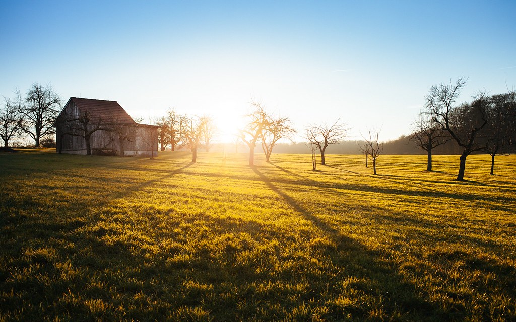 Rocky Branch Farm at sunrise