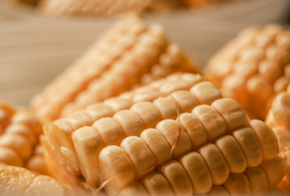 Sweet Corn