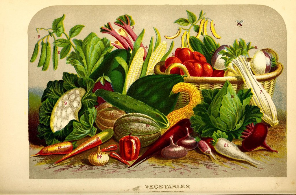 Root Veggies