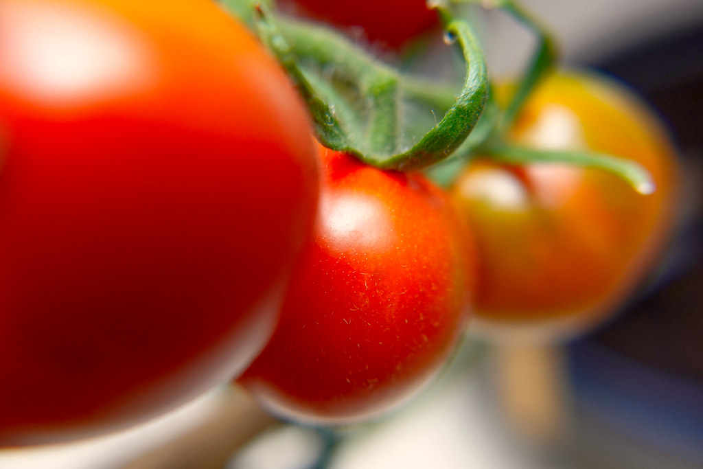 Garden Tomatoes